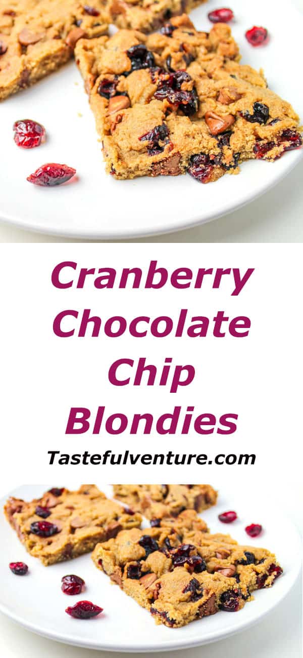 Cranberry Chocolate Chip Blondies 