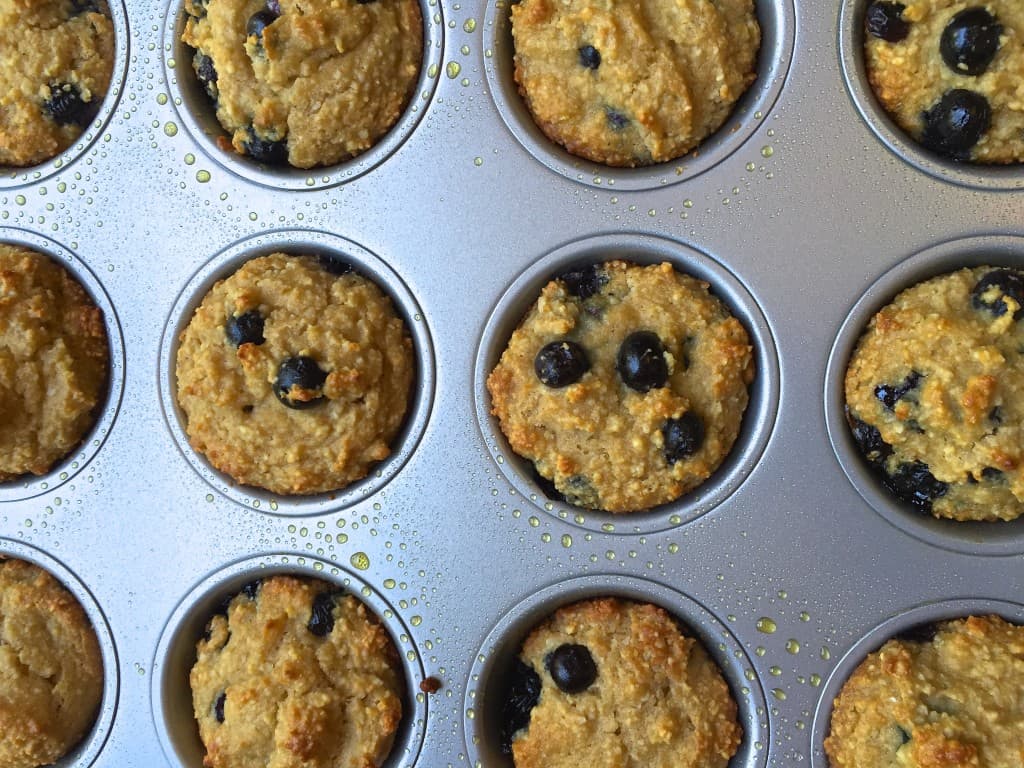 Paleo Blueberry Muffins (Sugar Free) 