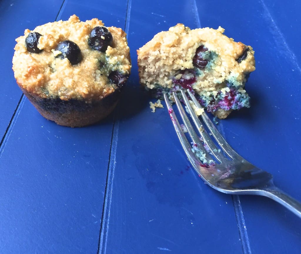 Paleo Blueberry Muffins (Sugar Free) 