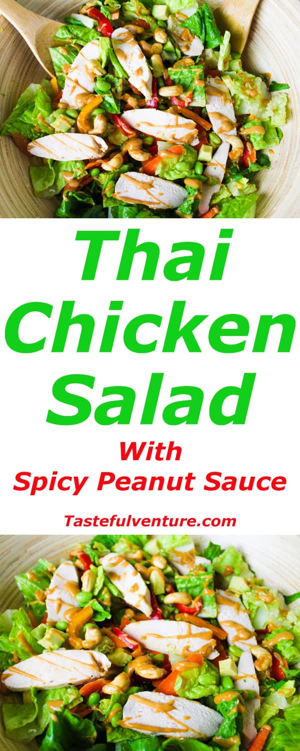 Thai Chicken Salad with Spicy Peanut Sauce is so easy to make and is so addicting! | Tastefulventure.com