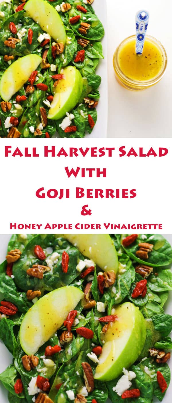 Fall Harvest Salad with Goji Berries and Apple Cider Vinaigrette 