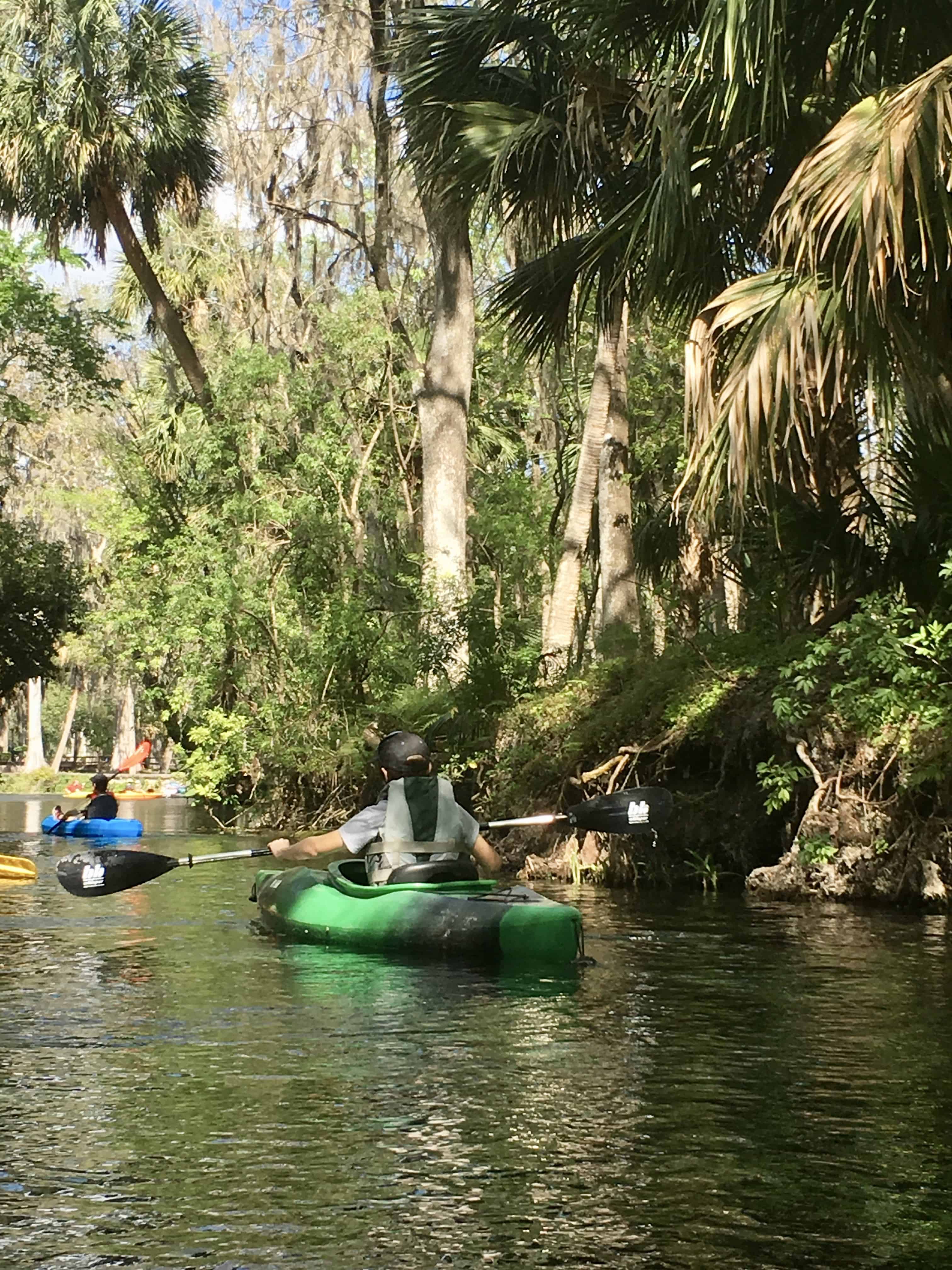 Kayaking Adventures In Silver Springs, Florida. 