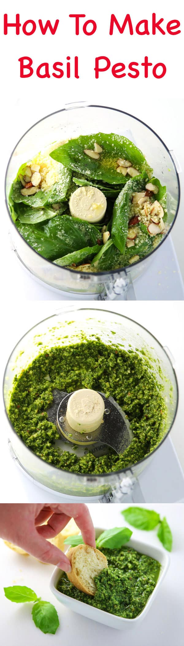 How To Make Basil Pesto - This is so easy to make and tastes so delicious! Dip your favorite bread in it, add it to pizza, or mix in with pasta!