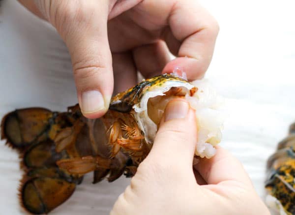 Loosening Lobster meat from shell