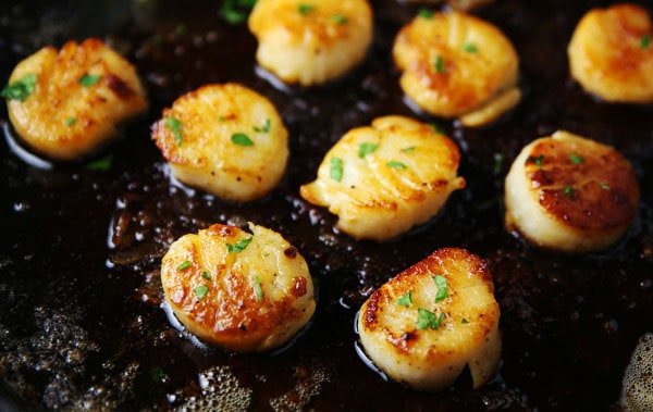 These Easy Brown Butter Scallops are so luscious, tender, and literally melt right in your mouth!