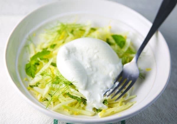 Fennel Lemon Mint Burrata Salad