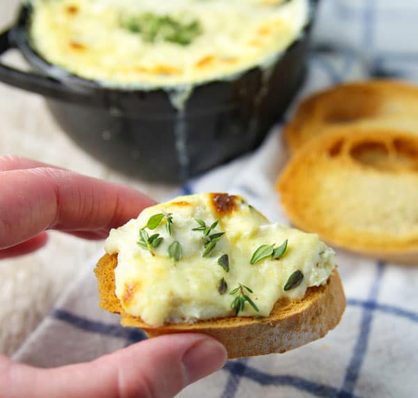 This Baked Ricotta Cheese Dip with Garlic Thyme and Lemon is THE BEST party dip ever! So cheesy, warm, and savory!