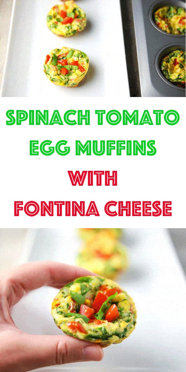 These Spinach Tomato Egg Muffins with Fontina Cheese are super easy to make and are loaded with flavor! Perfect for making ahead, just heat and eat the next day for breakfast on the go!