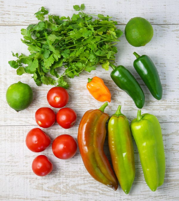 Ingredients for fresh spicy salsa