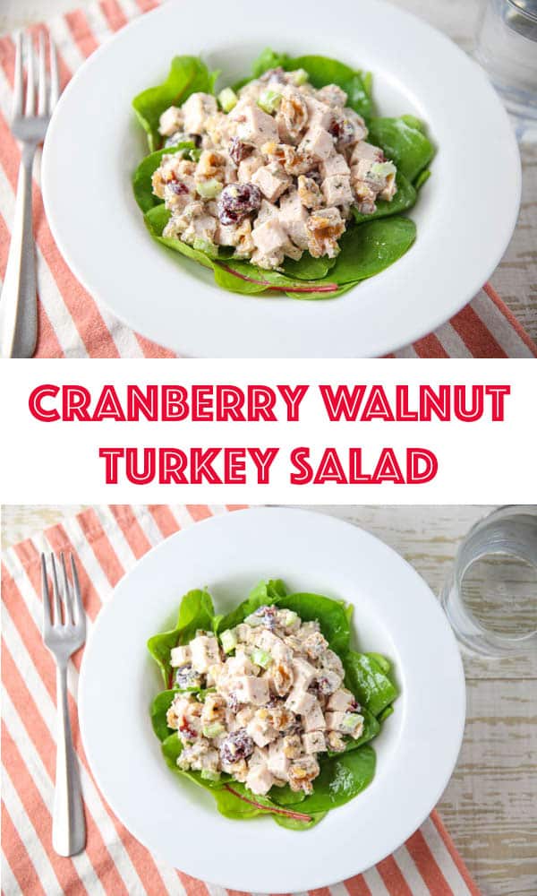 Cranberry Walnut Turkey Salad
