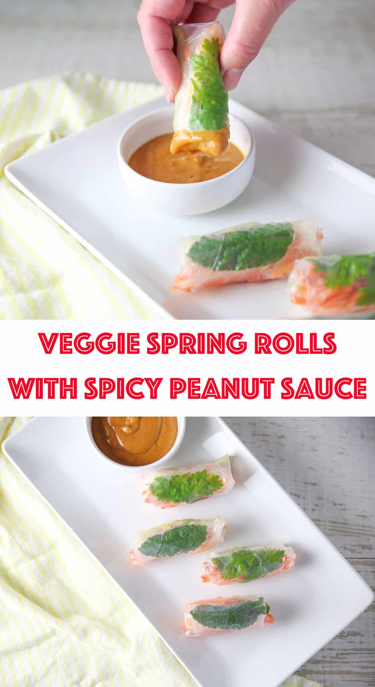 veggie spring rolls with spicy peanut sauce