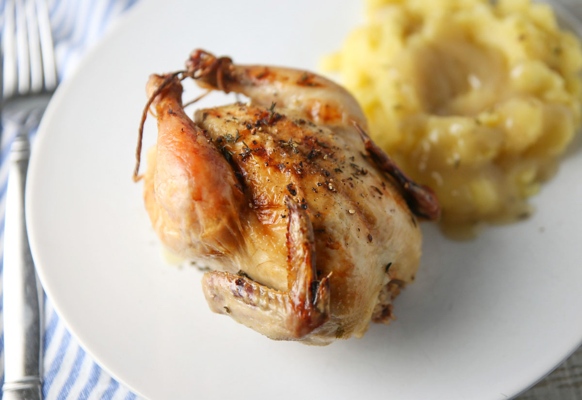 Cornish game hen with mashed potatoes