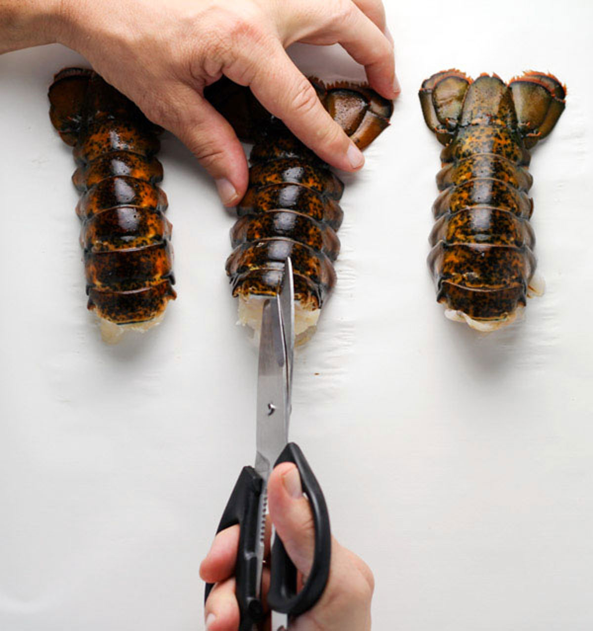 cutting into a lobster tail
