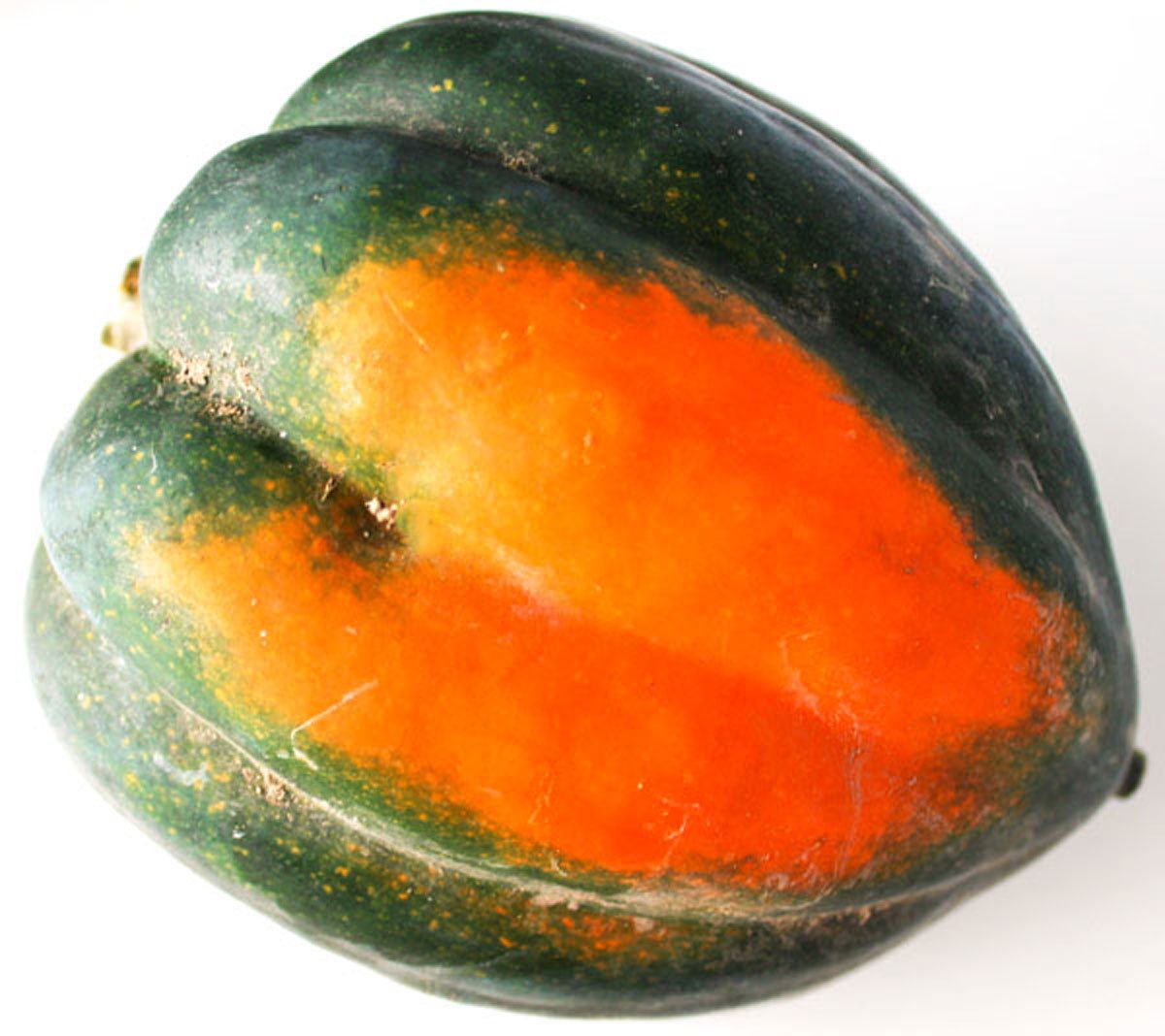 acorn squash